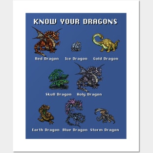 Final Fantasy: Know Your Dragons Posters and Art